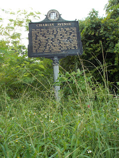 Unpacking Coconut Grove ► Part 9.1 ► A Bad Neighbour Photo Essay