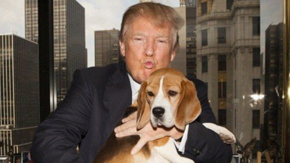 Adolf Hitler Becomes Dictator ► Throwback Thursday